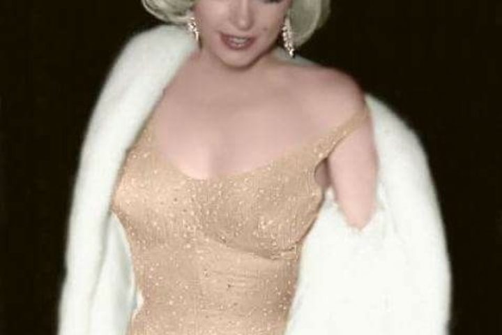 Marilyn Monroe Dress Jfk History 1631